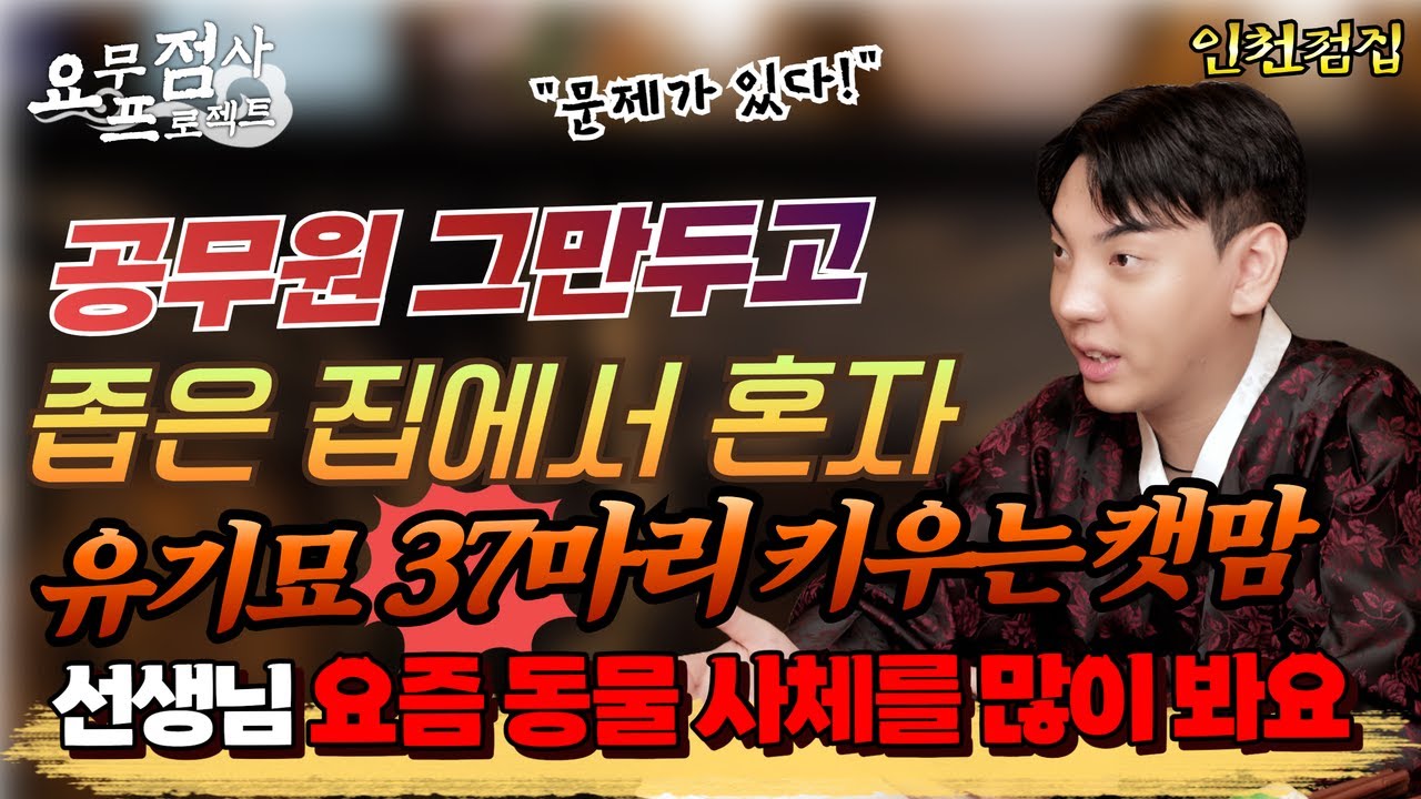 [점사] 공무원 그만두고 좁은 집에서 혼자 유기묘 37마리 키우는 캣맘!🐱 요즘 들어서 동물 사체를 많이 본다?!💥