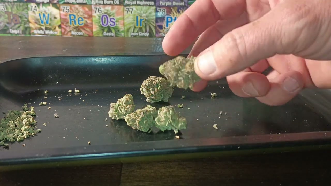 Wedding Crasher strain review