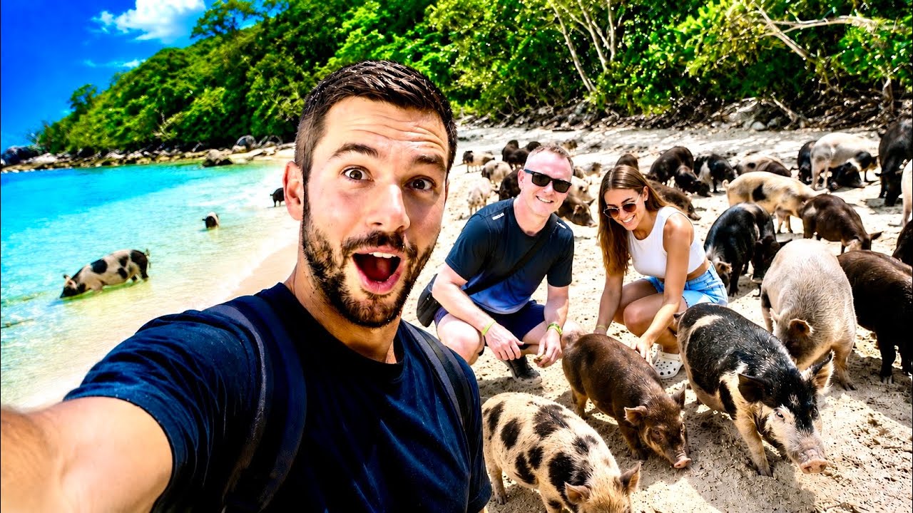 Visiting PIG Island In Koh Samui! 