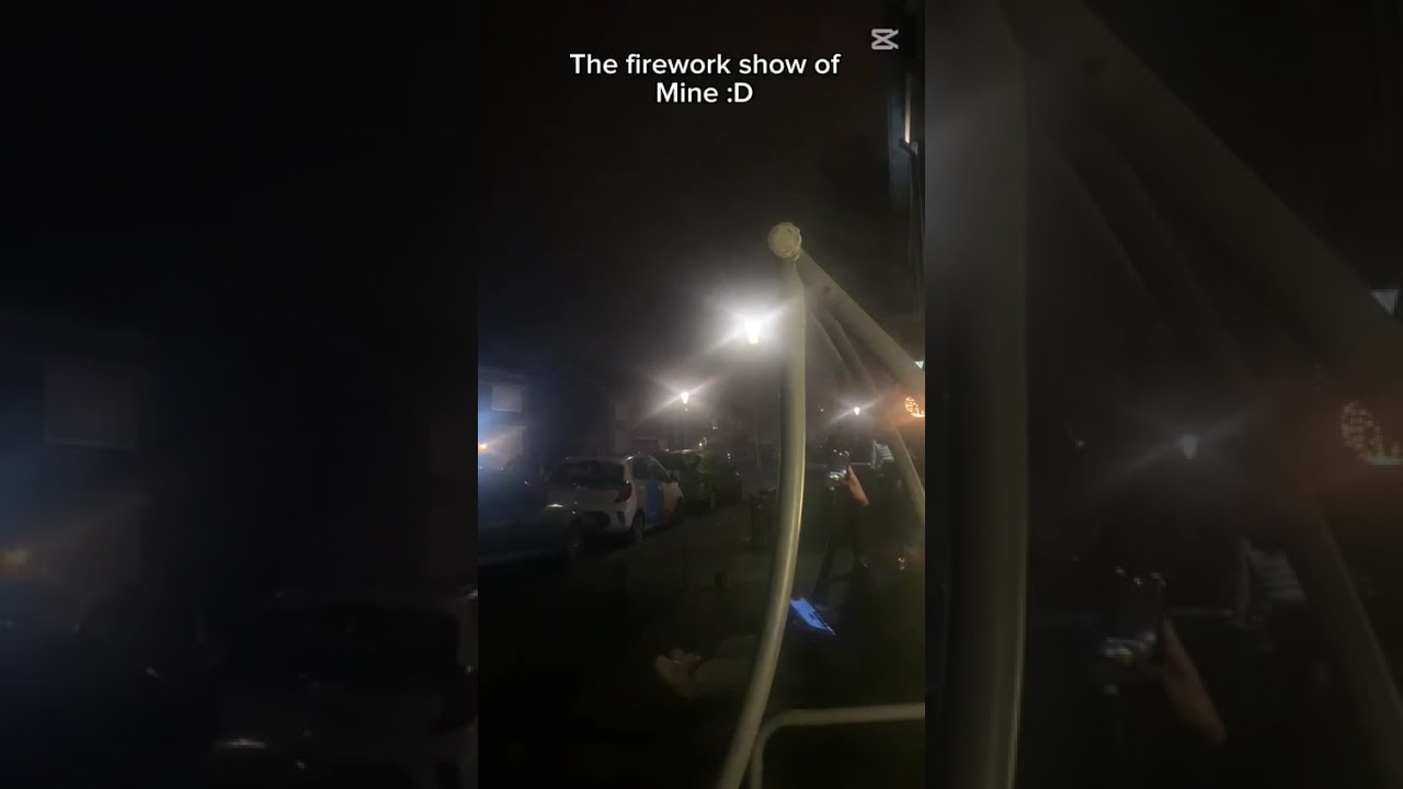 The firework show of mine! (Happy January 1st) 