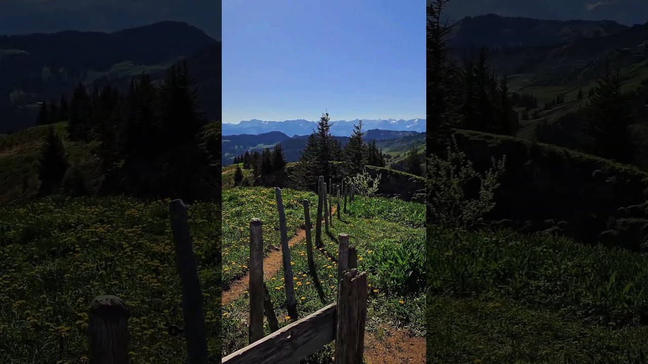 Allg&auml;u Panorama zum Genie&szlig;en. #alpenpanorama #allg&auml;ueralpen #mountains #hiking #wandern #bergwandern