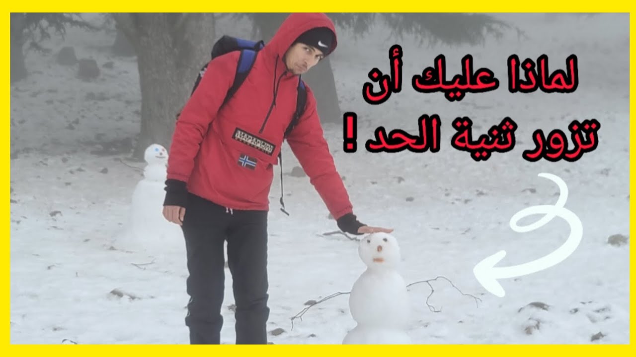 Theniet El Had - Tissemsilt حظيرة ثنية الحد - تيسمسيلت
