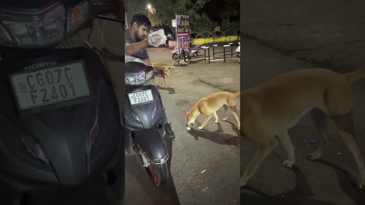 Day 58 | Mission Pashu Seva Begins 🐄🐕 | 365 Days of Feeding Cows & Dogs | Bhawesh Motwani