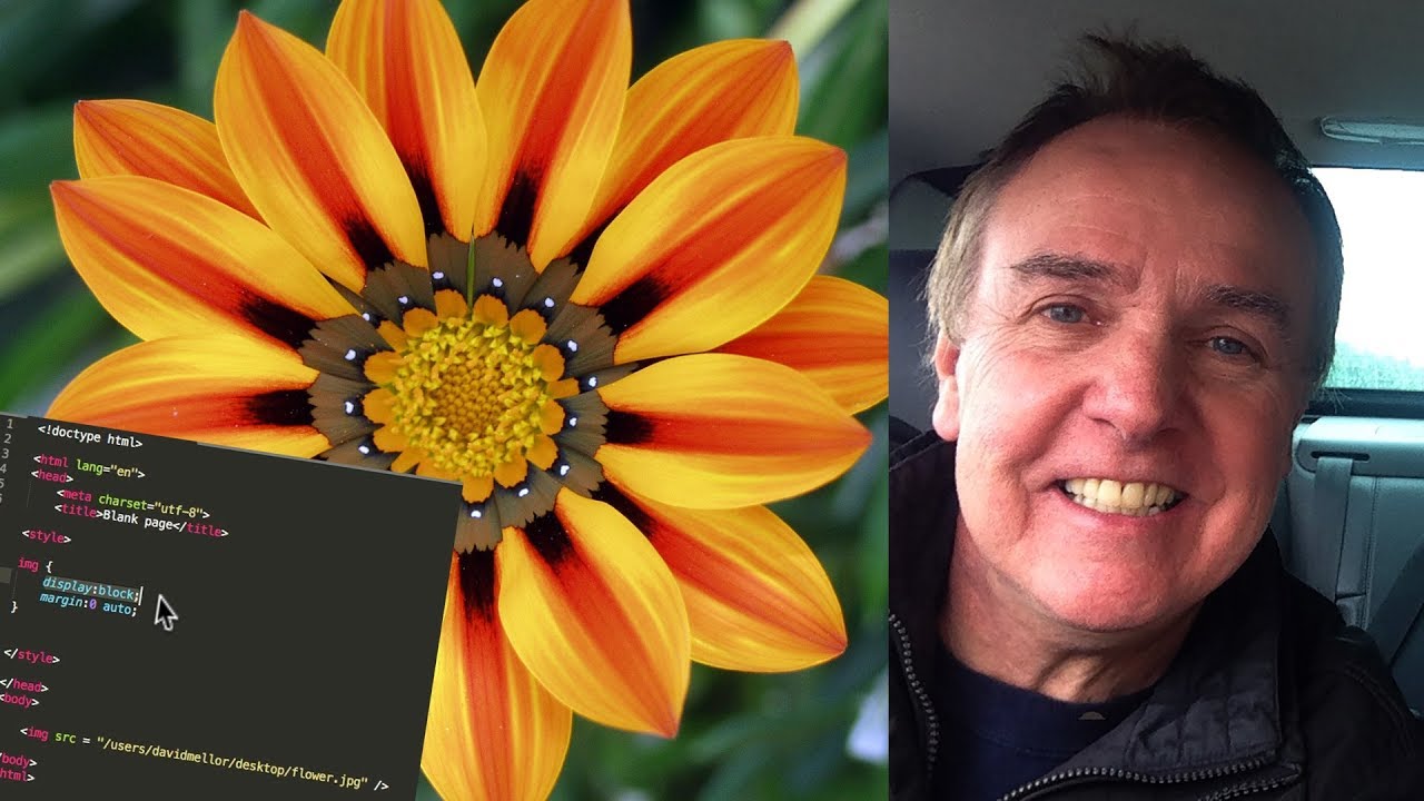How to center an image using CSS margin auto