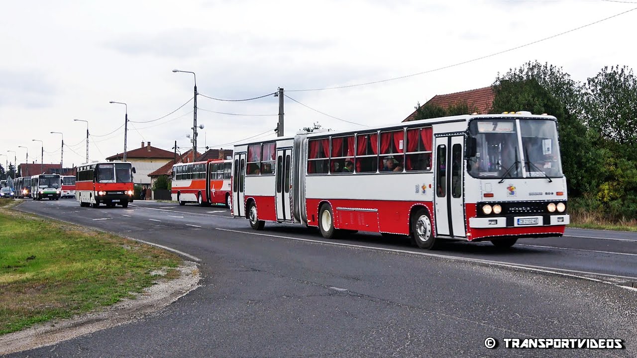 2025.10.05. - 64 db autóbusz felvonulása a VII. Ferihegyi Ikarus Találkozón