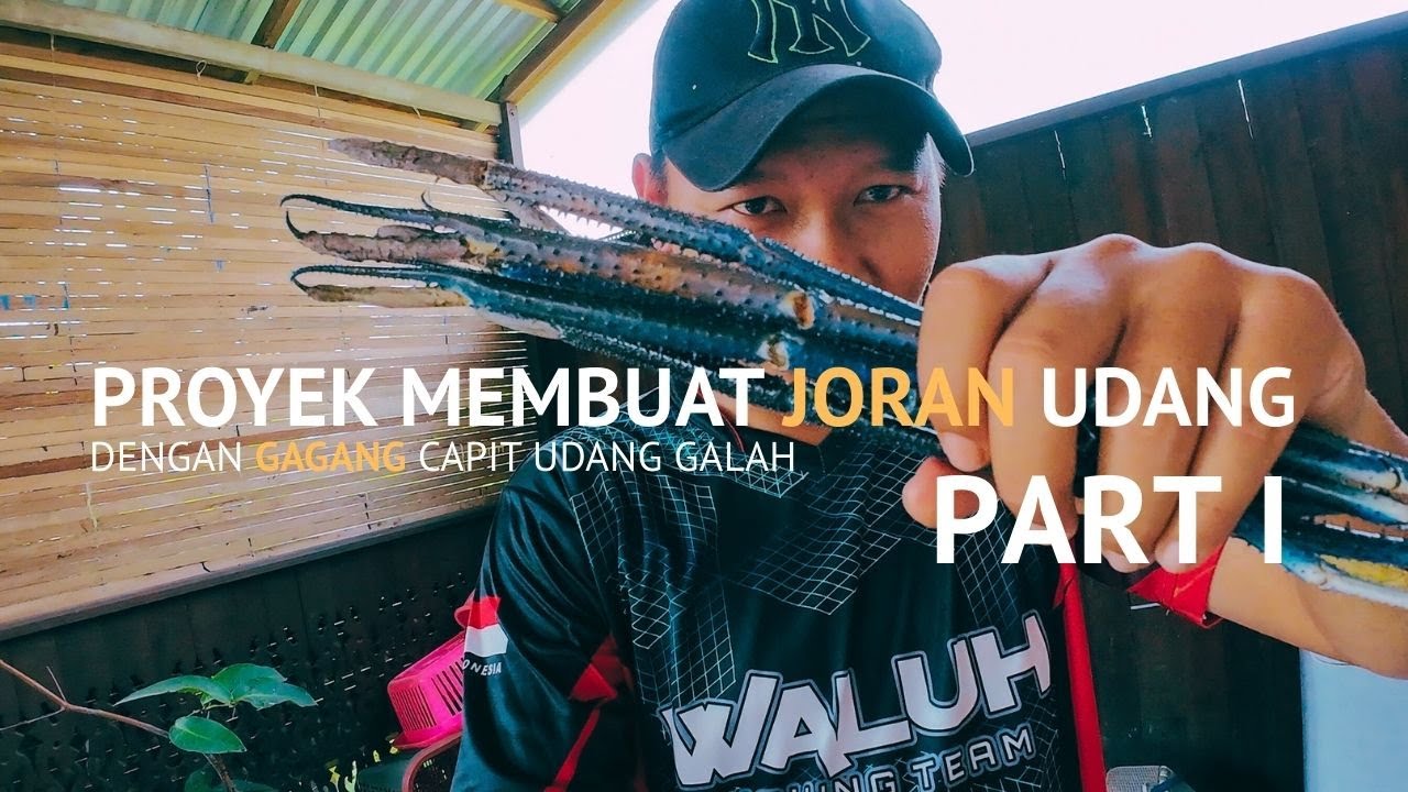 MEMBUAT JORAN UDANG SENDIRI !! DENGAN GAGANG CAPIT UDANG GALAH #anglersamadinar