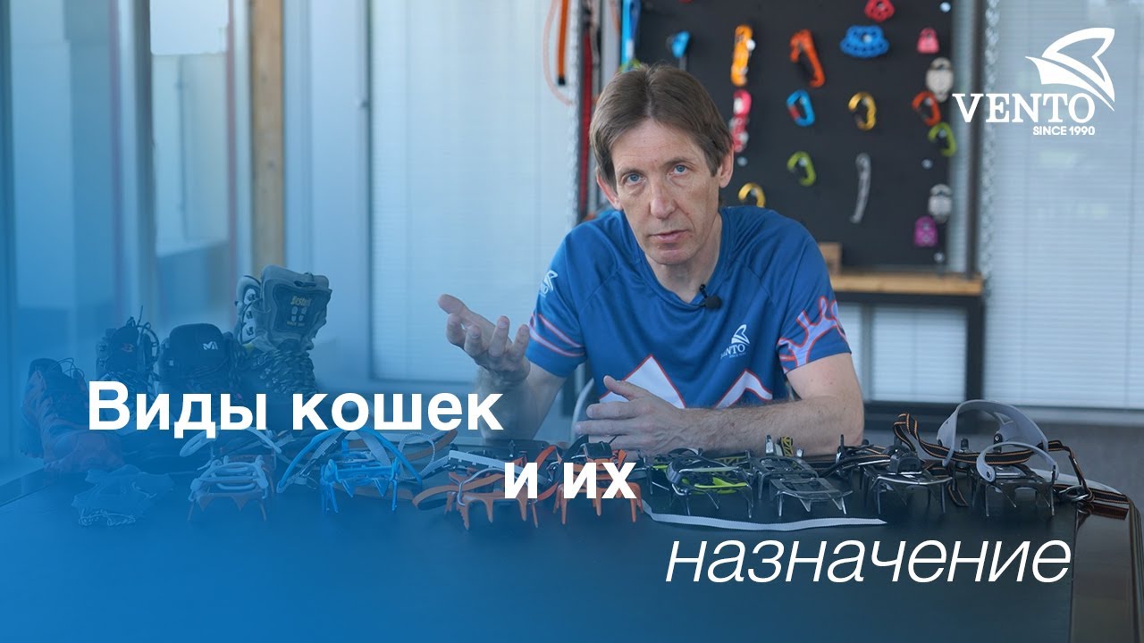 Виды кошек и их назначение