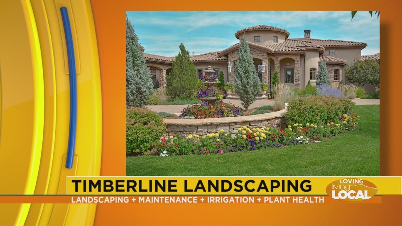 Timberline Landscaping - Loving Living Local
