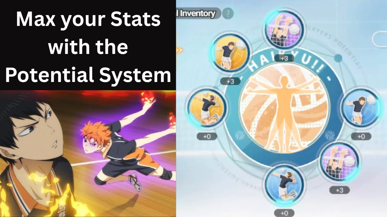 Stats and Potential Guide - HAIKYU!! FLY HIGH