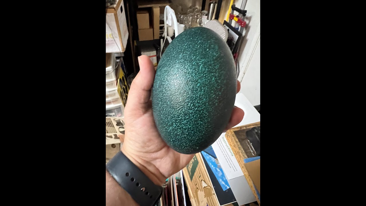 Emu Egg Engrave