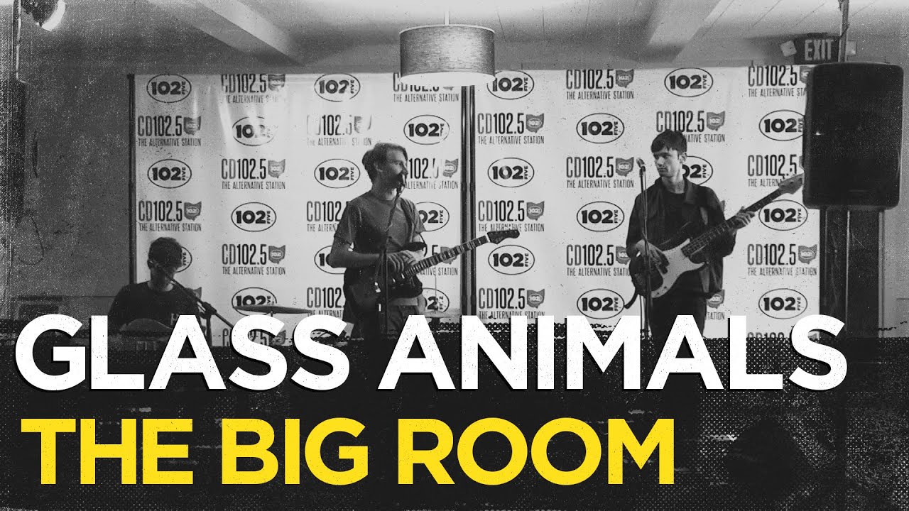 Glass Animals talk about their new album 