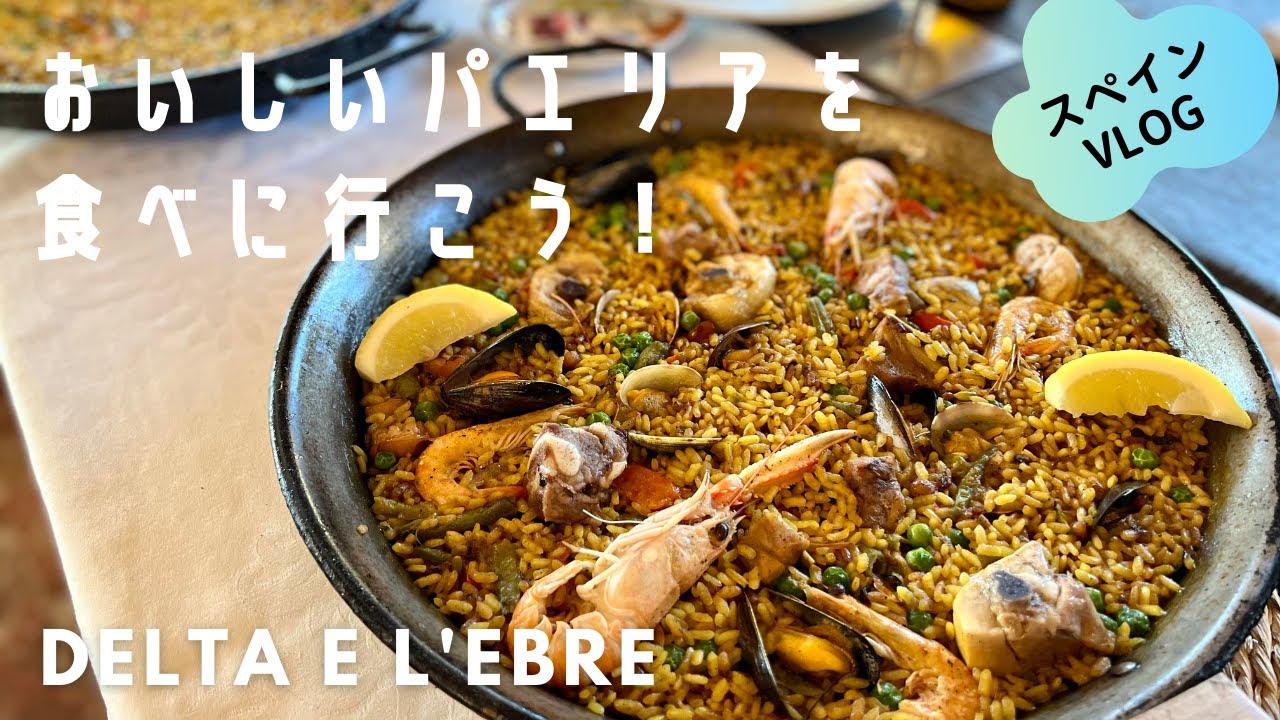 【スペイン旅行】米どころでパエリアを食べる / デルタデレブラ観光 / 自転車でフラミンゴを見に行く