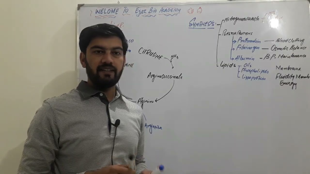 Liver as a Homeostatic Organ | FSc 2nd Year, A & O Levels, MDCAT Biology | SCORE Online Coaching