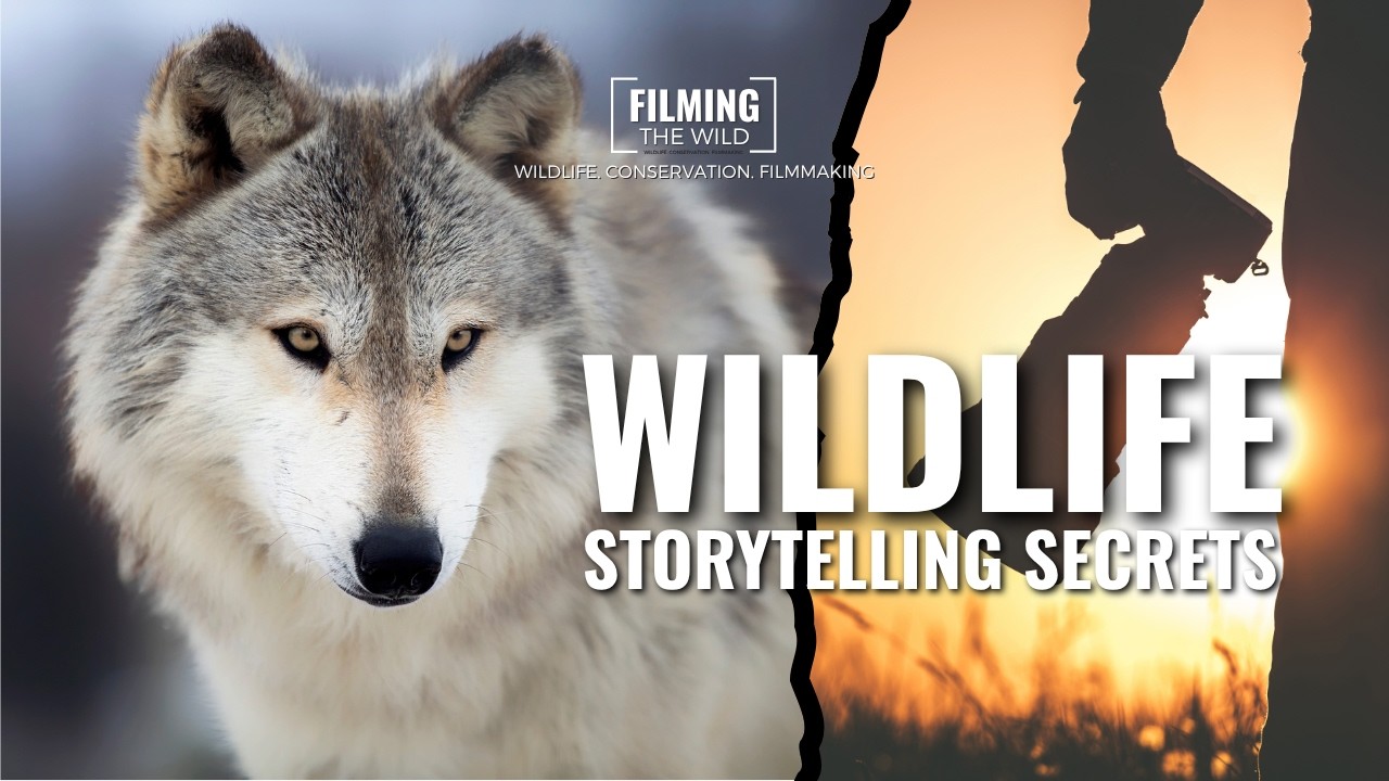 How to Tell a Great Story in a Wildlife Documentary