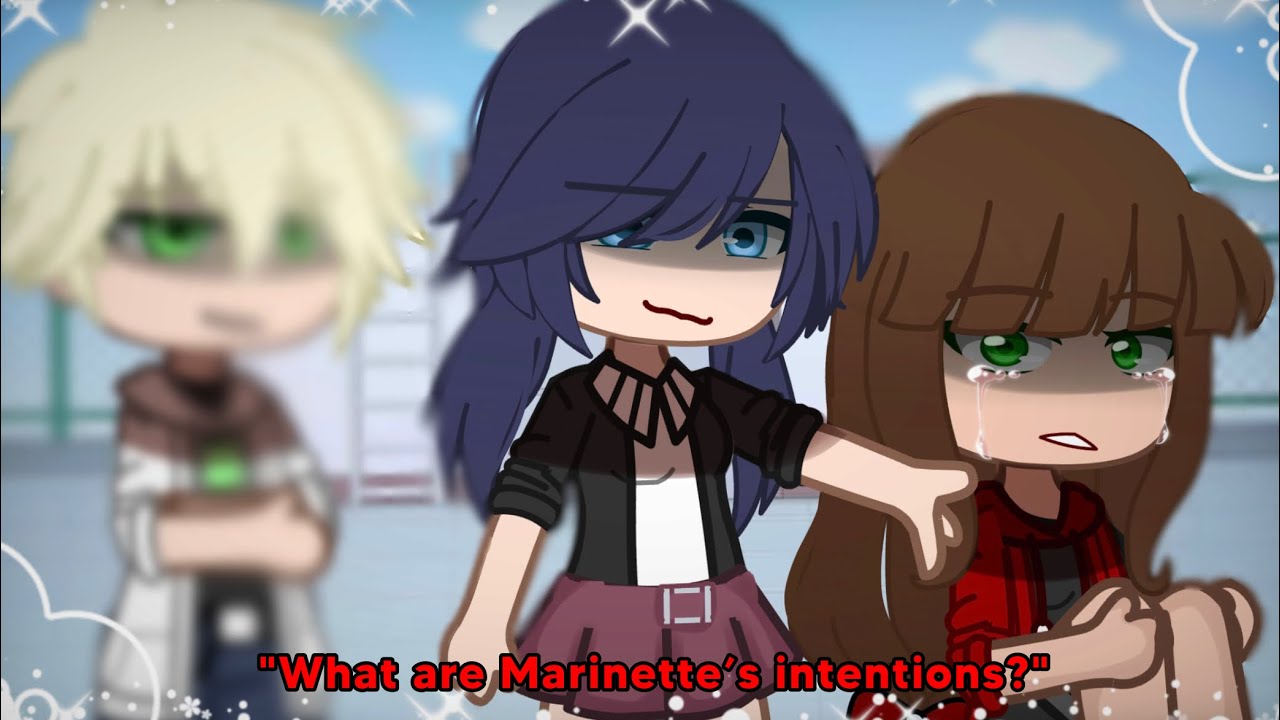 Pt.3 I said.. ENOUGH! || Miraculous Ladybug || AU❗️|| [series?]