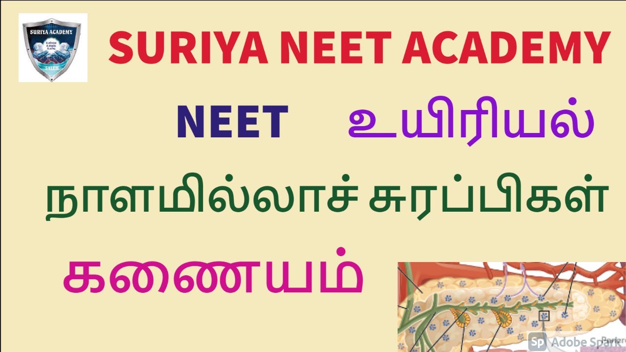 NEET - TAMIL MEDIUM - BIOLOGY உயிரியல் - PANCREAS - கணையம் -#suriyaneetacademy
