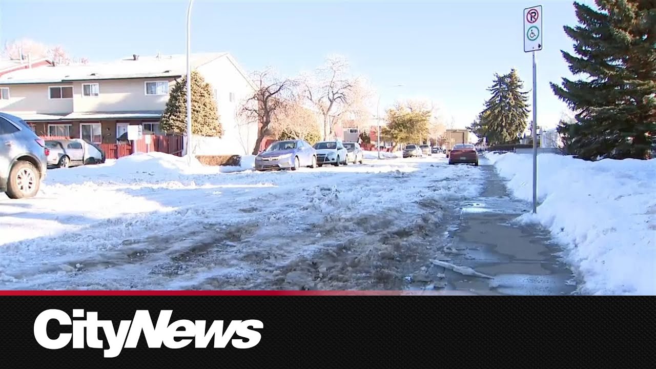 Edmontonians depending on dedicated accessible transit stuck at home with poor road conditions