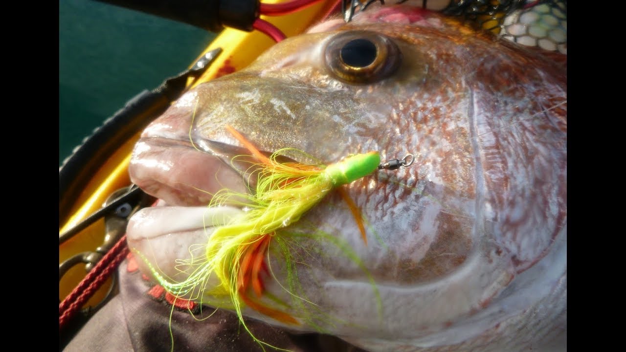 SharkerZ Fishing Videos - Snapper fishing Dec 2017 and Jan 2018 l with Skutes and Softbaits