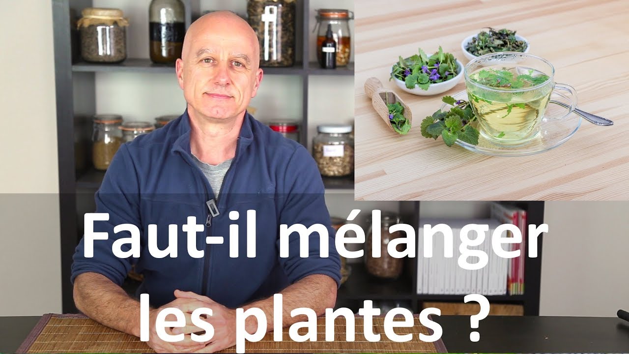 Faut-il mélanger les plantes ou les prendre seules ?