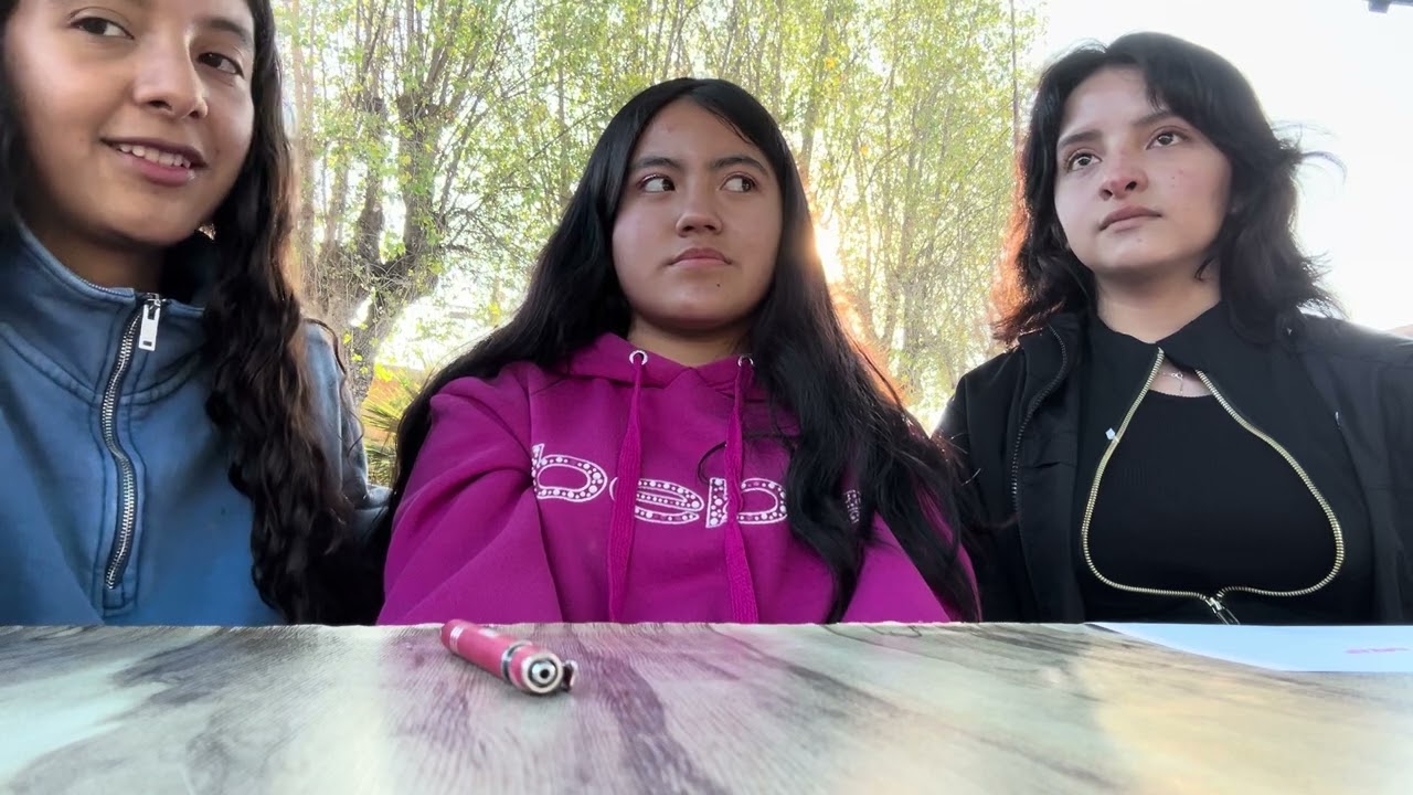 Integradora de Análisis de la sociedad 
