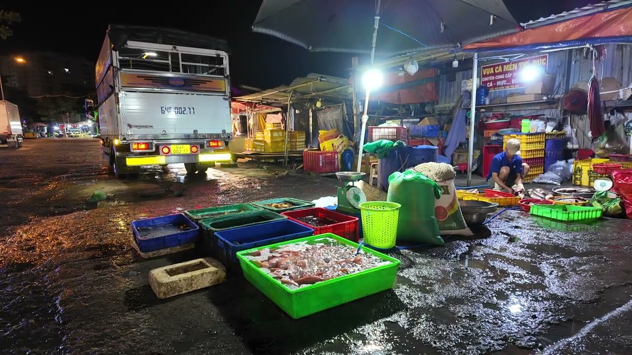 Chợ thịt cá hải sản Đầu Mối Thủ Đức lúc 2h sáng xe thịt heo xuống hàng