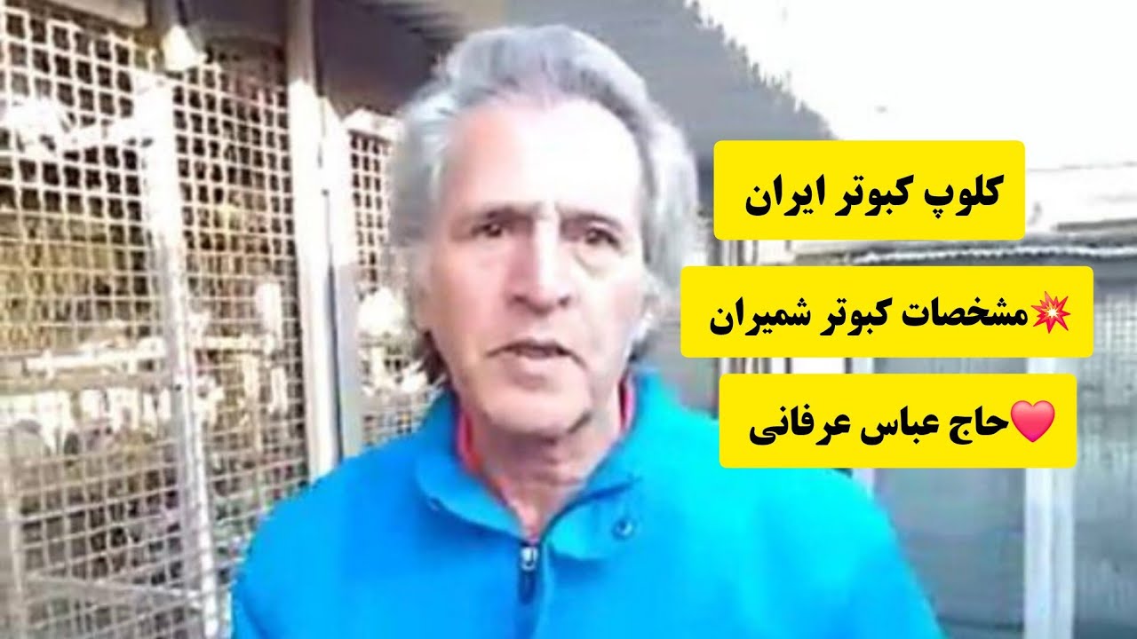 ❤️مشخصات کبوتر شمیران از زبان آقای حاج عباس عرفانی از شمیران iranian high flyers pigeon