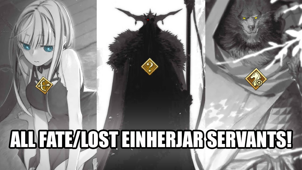 ALL FATE/LOST EINHERJAR SERVANTS! 🥶 (so far)