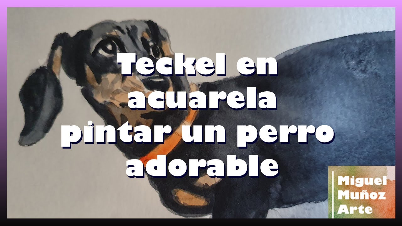 Teckel en acuarela, pintar un perro adorable