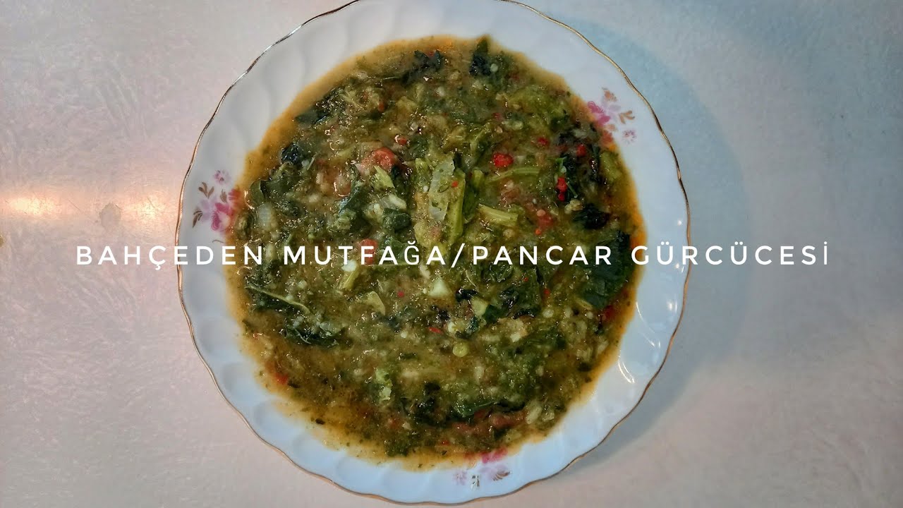 PANCAR GÜRCÜCESİ / GÜRCÜ PANCARI TARİFİ