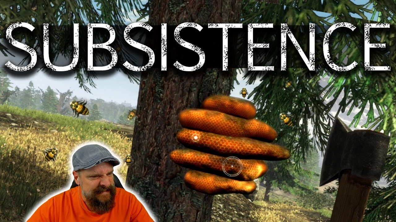 SUBSISTENCE deutsch 🐔 033: H&ouml;rt Ihr das Summen? Bienen-Hattrick!