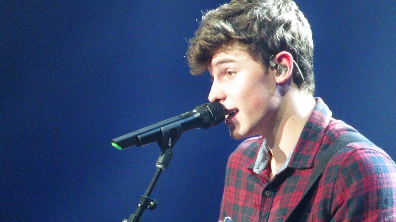 Shawn Mendes 