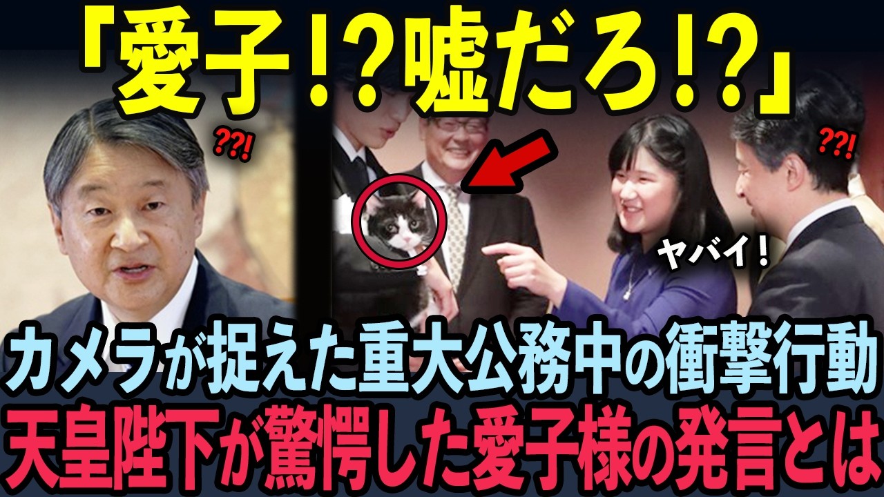 【海外の反応】15ヶ月イジメられた野良猫に近づいた愛子様が5秒後…判明した奇跡の能力に世界中が驚愕