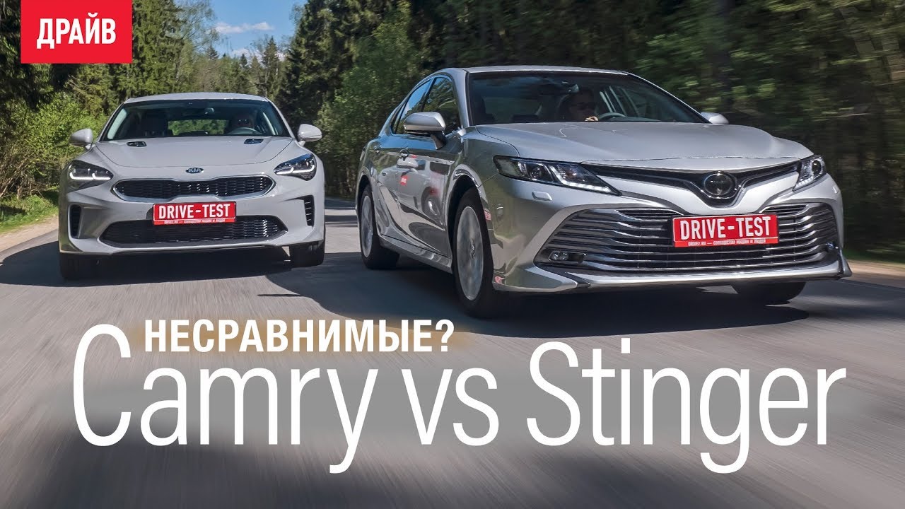 Toyota Camry 2018 или Kia Stinger — сравниваем свои машины