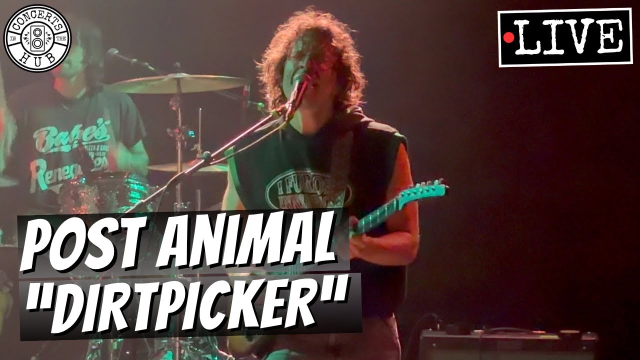 Post Animal 