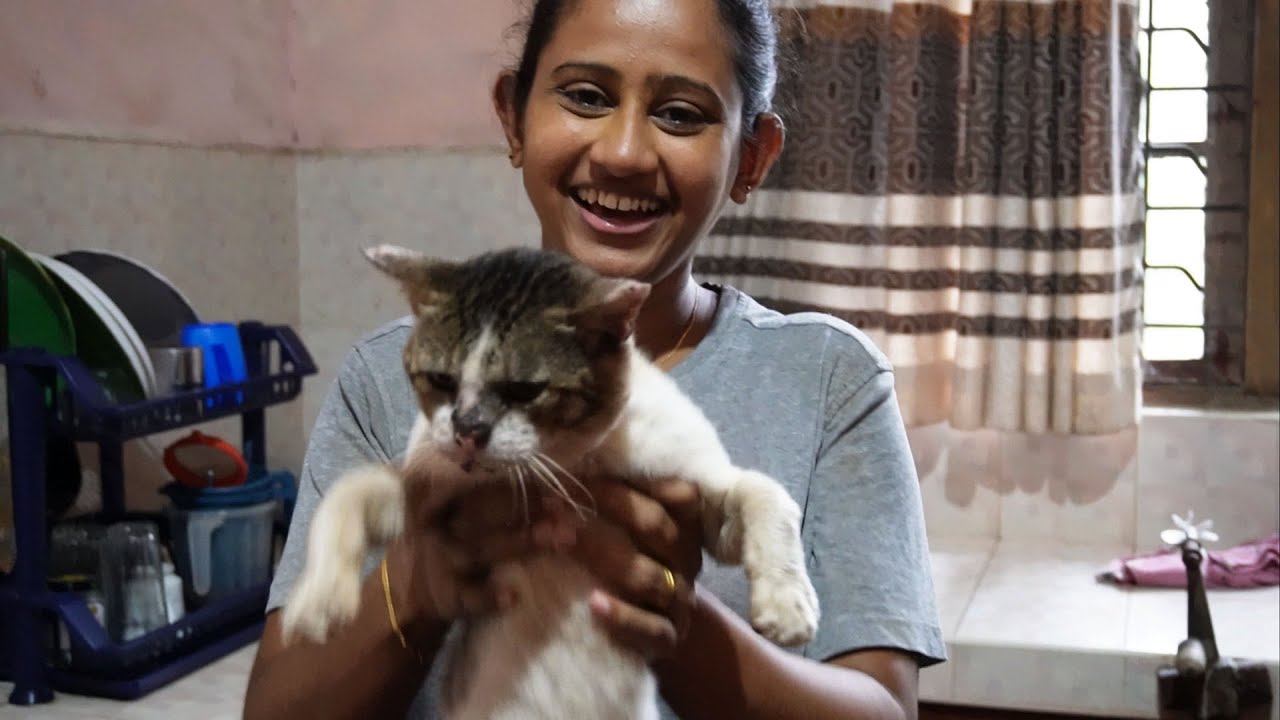 මැරිලා ආයෙත් ආව අපේ ටිකීයා