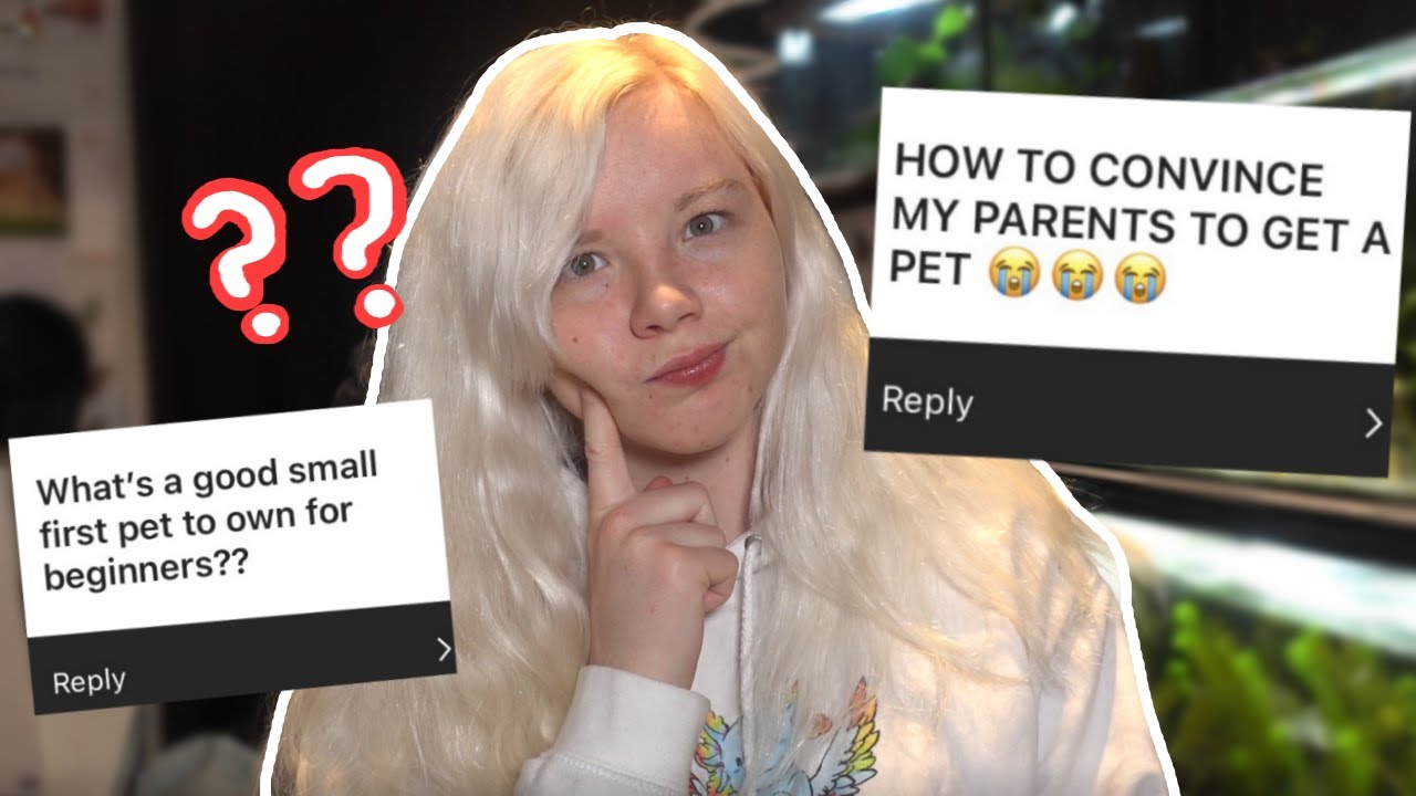 Is There a &ldquo;Beginner&rdquo; Pet? / Answering YOUR Pet Questions