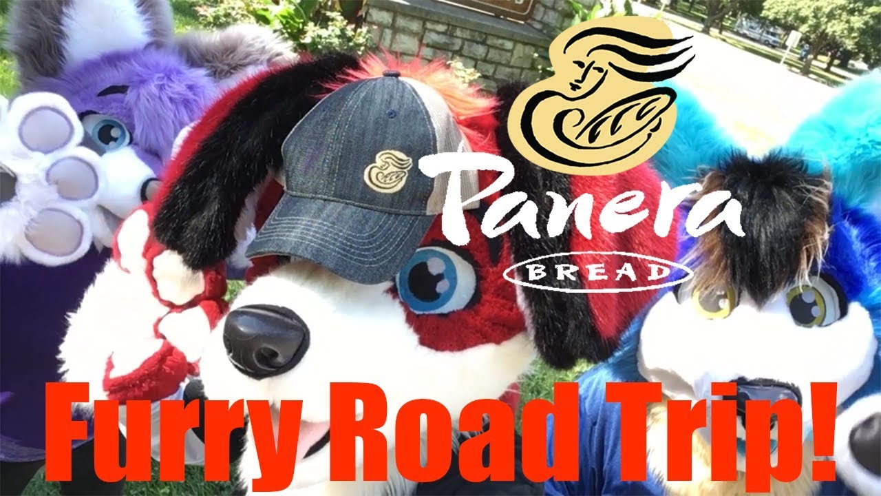 Beagle's Road Trip Ep. 2 - Panera Dogs