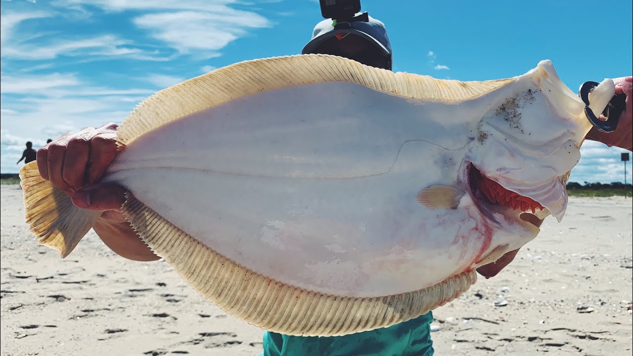 Jigging in Heavy Wind - Fishing for MONSTER FLUKE - Limit +
