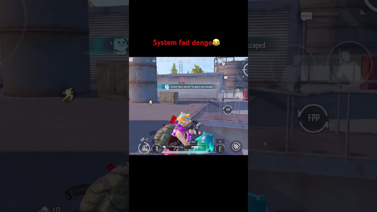 FUNVIDEO