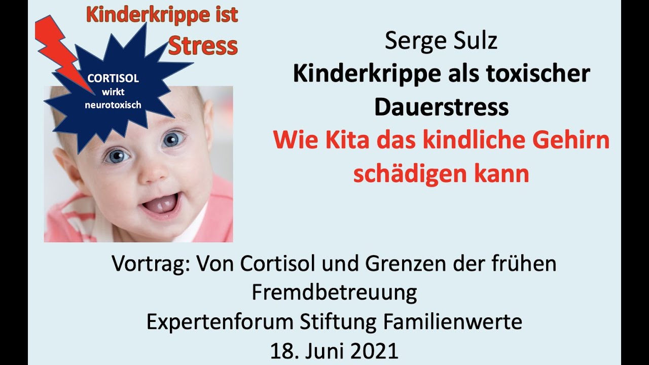 Serge Sulz Kinderkrippe als toxischer Dauerstress   Wie Kita das kindliche Gehirn schädigen kann