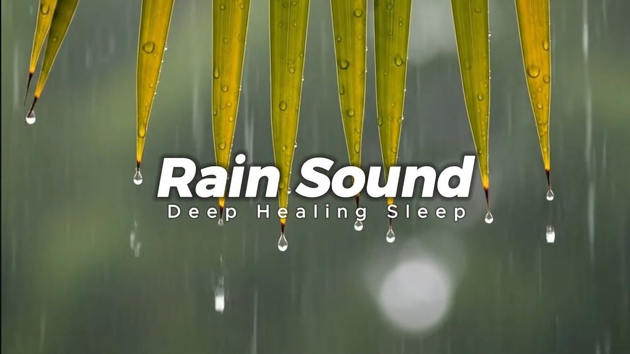 Rain Sound & music relax 🎶Rain Sounds to Sleep, Study, Relax, Reduce Stress, help insomnia