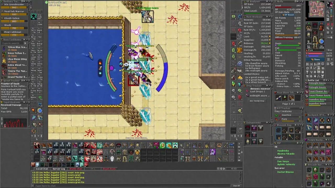 LV 293 Monk - Hunting Asura Mirror 3KK/H+ Raw (Primeiro teste)