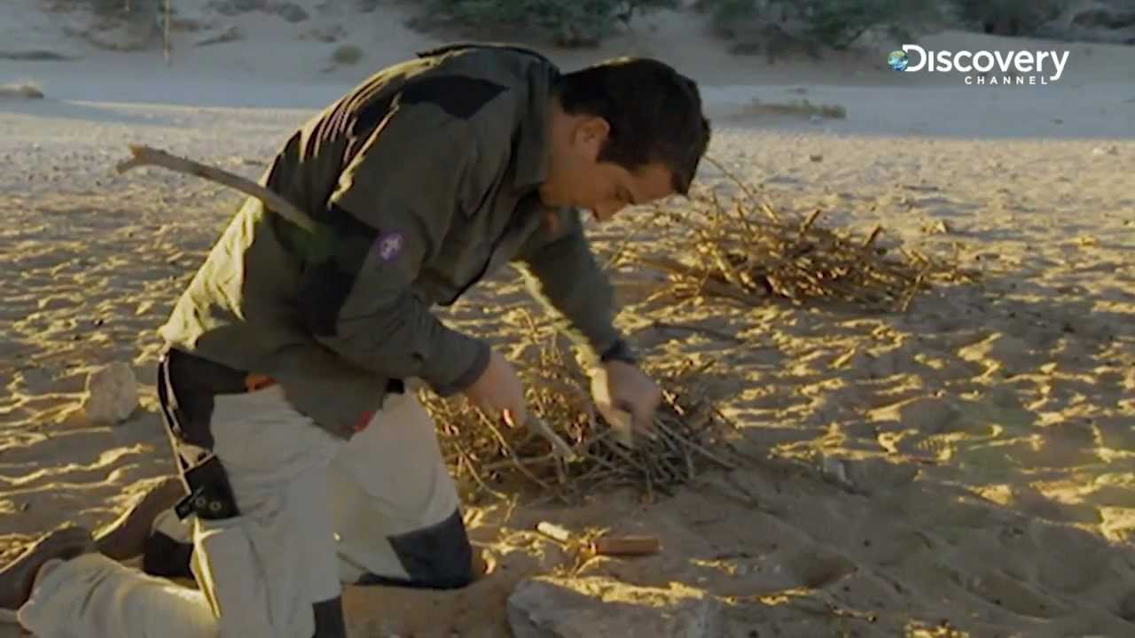 How To Stay Alive | Bear Grylls Special