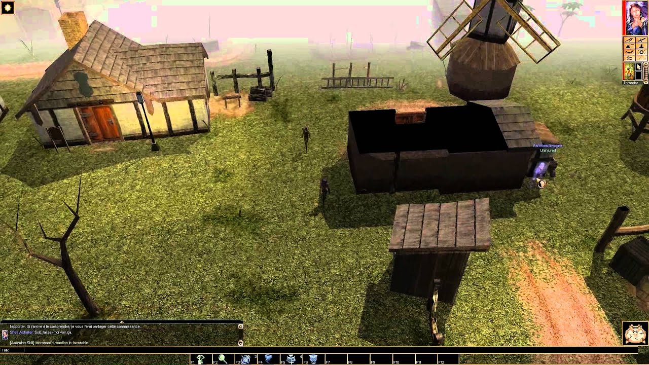 Neverwinter Nights: Mod Diablo (Tristram, NPCs, The Butcher)