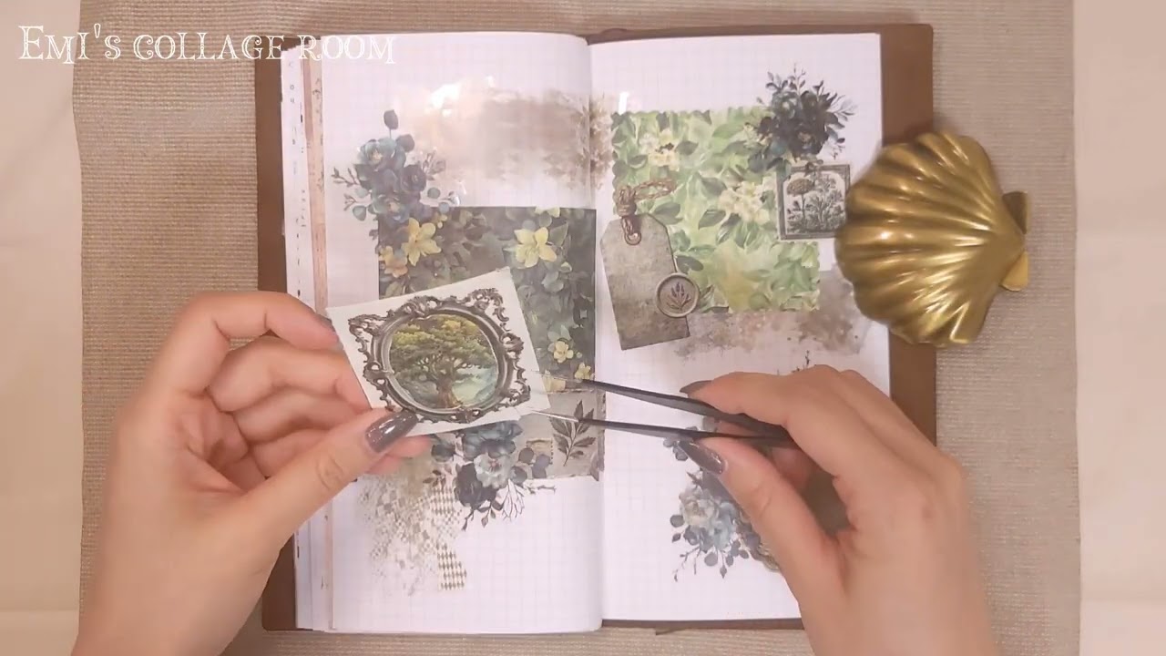 ASMR 古き森のコラージュ🌳🐾  Collage of the old forest 옛 숲의 콜라주