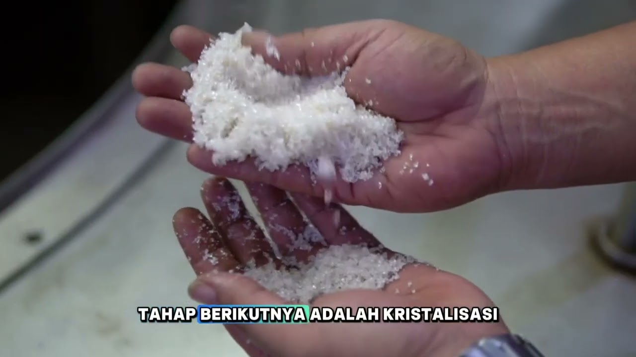 Manajemen Fungsional