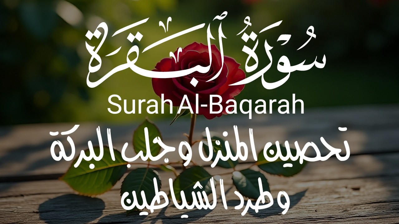 سورة البقرة، كامله ، قران، الصباح ،والمساء،لحفظ وتحصين المنزل وجلب البركه