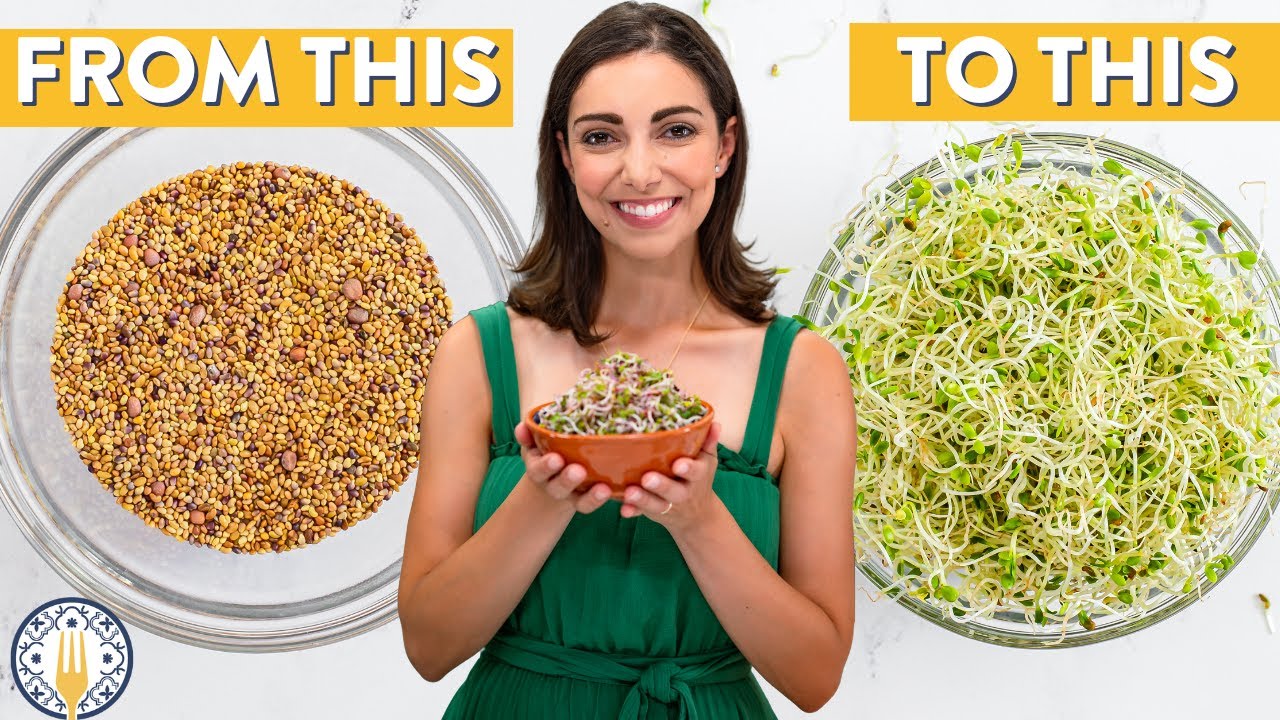How To Grow Sprouts In A Jar 🌱 HUGE Savings!
