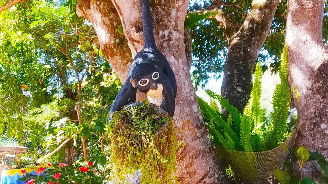 macaco de Cimento