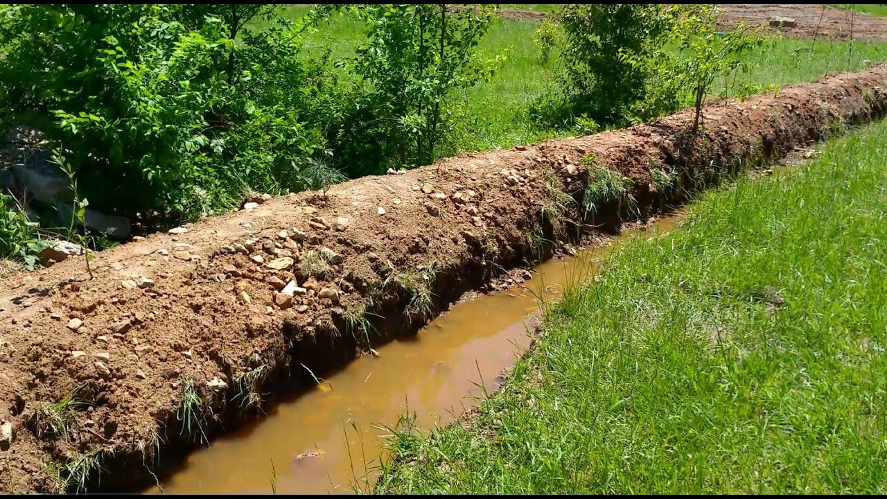 Permaculture Swale review after 2 inches of rain
